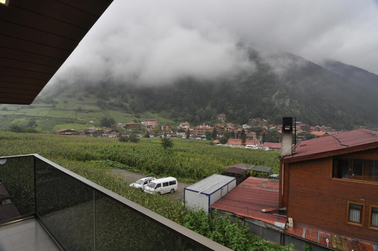 Apartment Anemo Uzungol