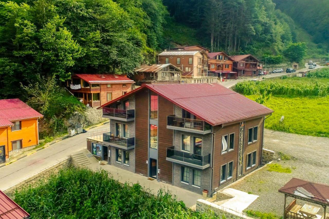 Apartment Anemo