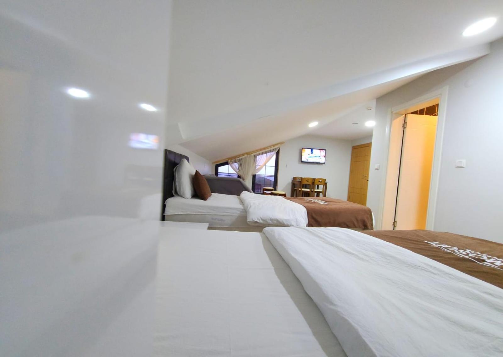 Anemo Apartment Uzungol
