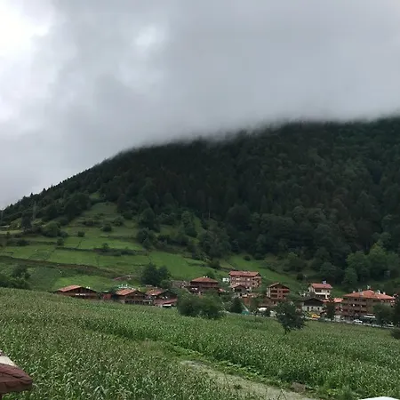 Anemo Suite Uzungol Exterior photo