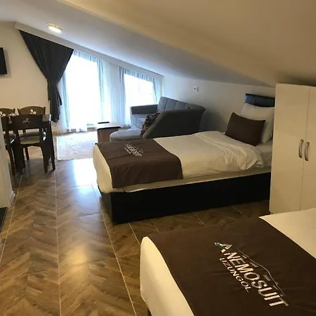 Anemo Suite Uzungol Exterior photo
